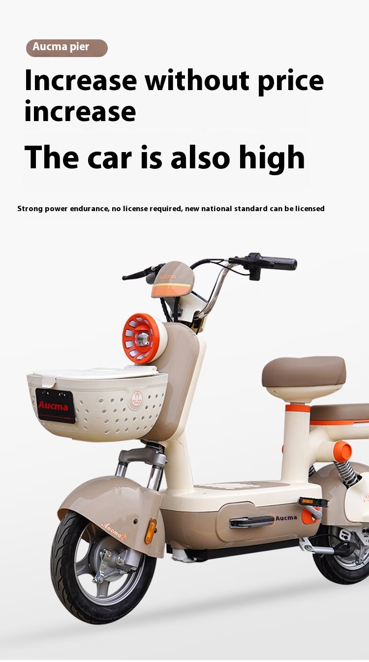 Electric bicycle4