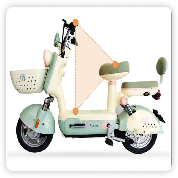 Electric Bicycle